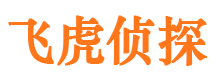 从江找人公司